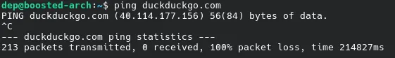 Terminal on the IoT network showing duckduckgo.com resolving but returning zero replies and 100 percent packet loss.
